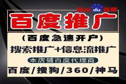 某企业SEM广告投放的ROI提升之路